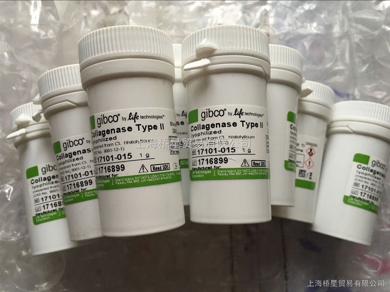 胶原酶IV型 Gibco原装试剂